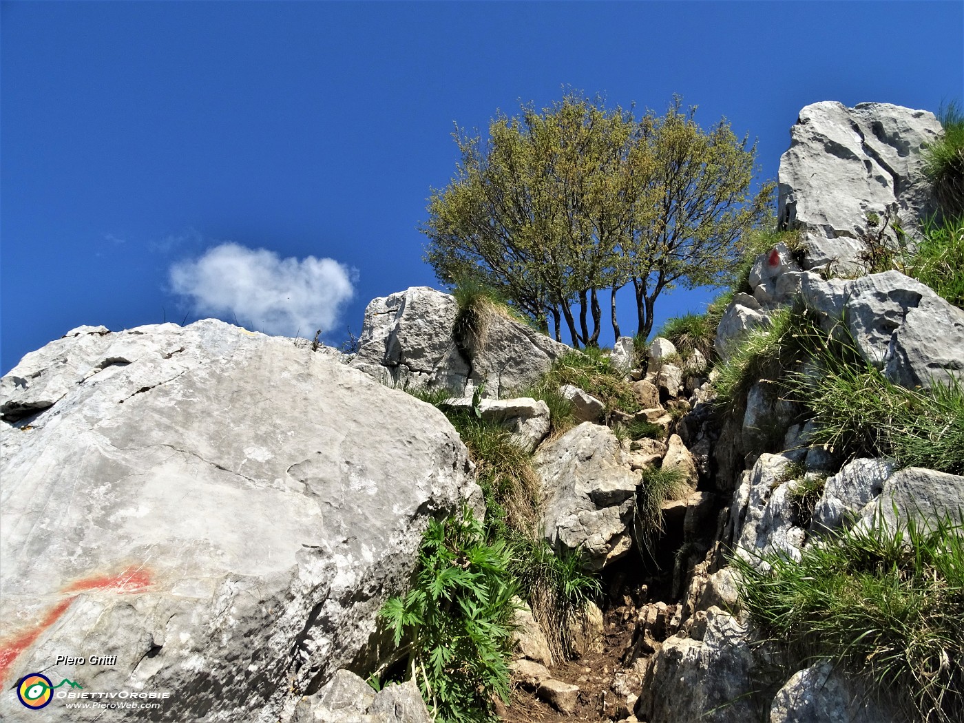 20 Anche un passaggio su roccette.JPG